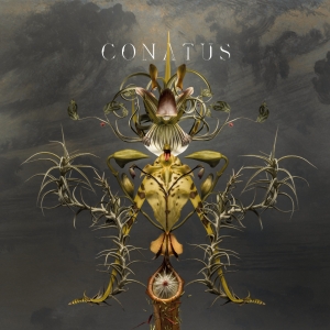 BEVING, JOEP - CONATUS