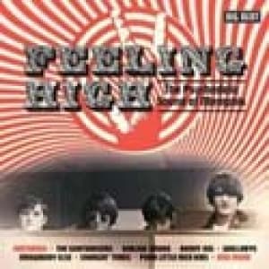 VARIOUS - FEELING HIGH