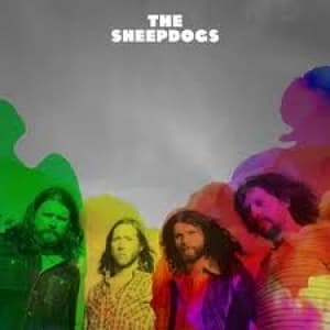 SHEEPDOGS - SHEEPDOGS