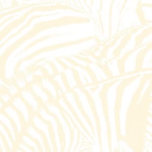 BEACH HOUSE - TEEN DREAM