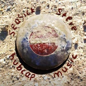 SEASICK STEVE - HUBCAP MUSIC