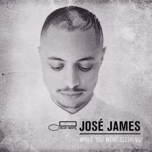 JOSÉ JAMES - WHILE YOU WERE SLEEPING
