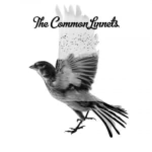 COMMON LINNETS - THE COMMON LINNETS