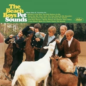 BEACH BOYS - PET SOUNDS (STEREO VERSION)
