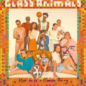 GLASS ANIMALS - HOW TO BE A HUMAN BEING