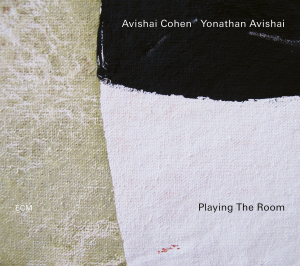 COHEN, AVISHAI & AVISHAI, YONATHAN - PLAYING THE ROOM