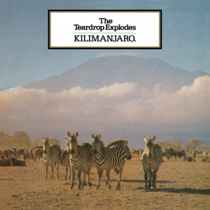 TEARDROP EXPLODES, THE - KILIMANJARO