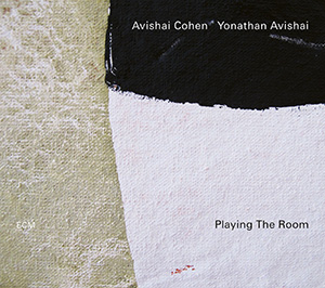 COHEN, AVISHAI & AVISHAI, YONATHAN - PLAYING THE ROOM