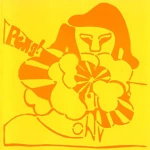 STEREOLAB - PENG