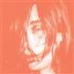 DEERHUNTER - MICROCASTLE