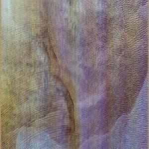 AKRON/FAMILY - SUB VERSES