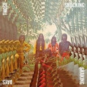 VARIOUS - THOSE SHOCKING SHAKING DAYS
