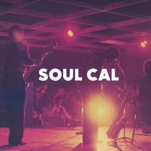 VARIOUS - SOUL CAL: FUNKY DISCO AND MODERN SOUL