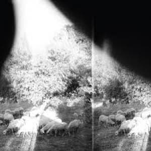 GODSPEED YOU! BLACK EMPEROR - ASUNDER, SWEET AND OTHER DISTRESS
