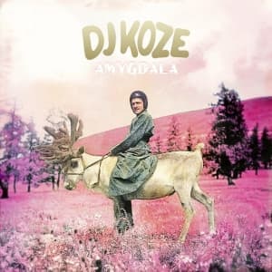 DJ KOZE - AMYGDALA