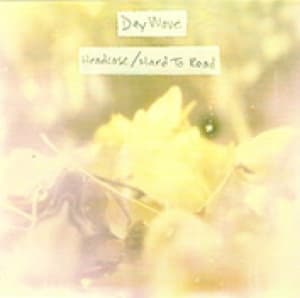DAY WAVE - HEADCASE/ HARD TO READ
