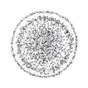 GOLDEN RETRIEVER - OCCUPIED WITH THE UNSPOKEN