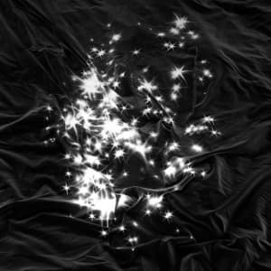 PEALS - WALKING FIELD