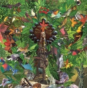 PLANKTON WAT - DRIFTER S TEMPLE