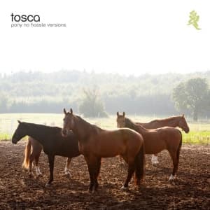 TOSCA - PONY (NO HASSLE VERSIONS)