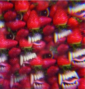 THEE OH SEES - FLOATING COFFIN