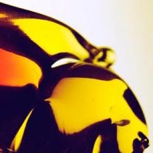 HOORAY FOR EARTH - TRUE LOVES