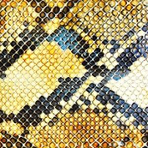 AMAZING SNAKEHEADS - AMPHETAMINE BALLADS