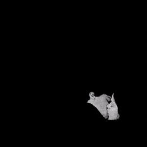 BOB MOSES - DAYS GONE BY