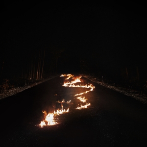 BOB MOSES - BATTLE LINES -COLOURED-