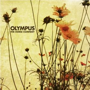 HORSE COMPANY - OLYMPUS