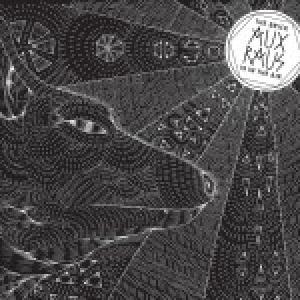 AUX RAUS - THE BRICK IS IN THE AIR