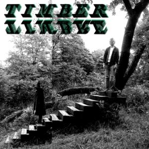 TIMBER TIMBRE - TIMBER TIMBRE