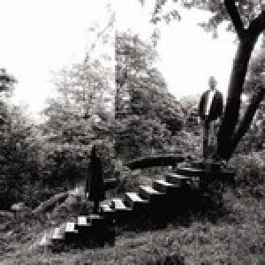 TIMBER TIMBRE - TIMBER TIMBRE