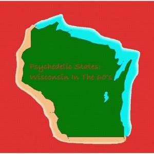 VARIOUS - PSYCHEDELIC STATES  WISCONSIN IN TH