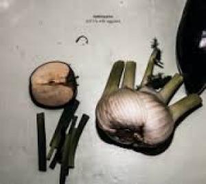 MOTORPSYCHO - STILL LIFE WITH EGGPLANT