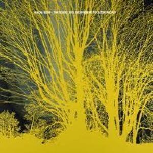 NADA SURF - THE STARS ARE INDIFFERENT TO ASTRON