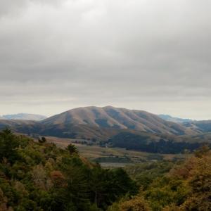 DIRTY PROJECTORS + BJORK - MOUNT WITTENBERG ORCA