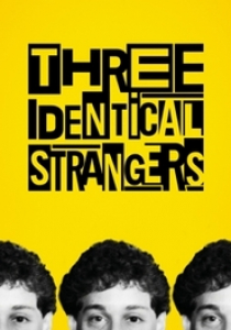TIM WARDLE - THREE IDENTICAL STRANGERS