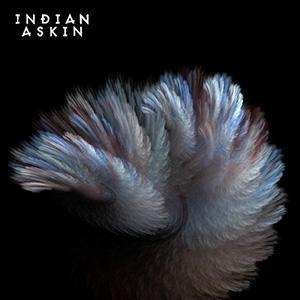 INDIAN ASKIN - INDIAN ASKIN -EP-