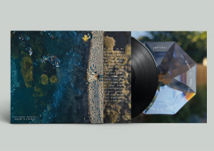 BARWICK, JULIANNA - HEALING IS A MIRACLE -INDIE ONLY + ART PRINT-