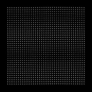 ZARATE, MORGAN - HOOKID