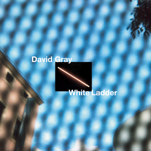 GRAY, DAVID - WHITE LADDER