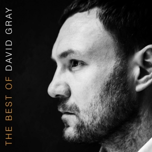 GRAY, DAVID - THE BEST OF DAVID GRAY
