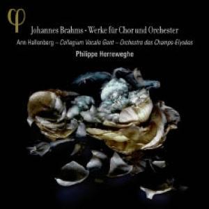COLLEGIUM VOCALE/ HERREWEGHE/ HALLE - WERKE FUR CHOR UND ORCHESTER