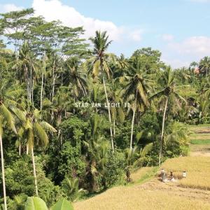 STAD VAN LICHT - STAD VAN LICHT II