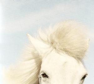 NORGREN, DANIEL - HORRIFYING DEATHEATING BLOODSPIDER