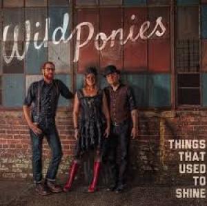 WILD PONIES, THE - THINGS THAT USED TO SHINE