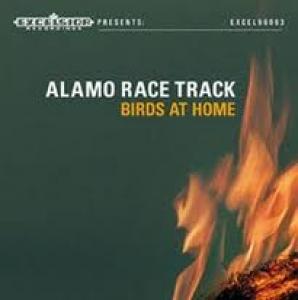 ALAMO RACE TRACK - BIRDS AT HOME
