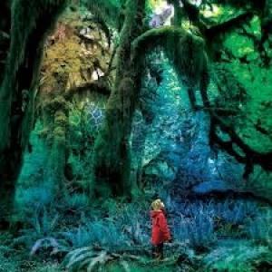 GARDNER, JACCO - CABINET OF CURIOSITIES