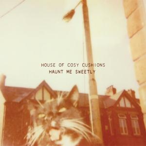 HOUSE OF COSY CUSHIONS - HAUNT ME SWEETLY
